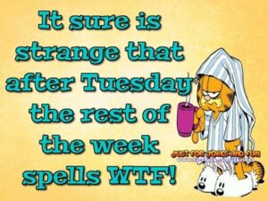 pale yellow poster with blue lettering of Garfield in jammies and nightcap: "It sure is strange that after Tuesday the rest of the week spells WTF!"